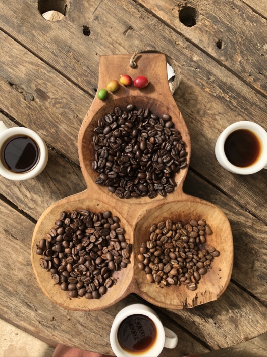 incentive-reise-panama-panamacity-kaffeefarm-eventagentur-globaldesire